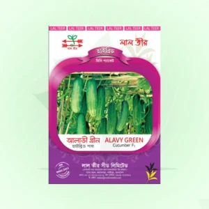 Hybrid Cucumber Seeds <br> হাইব্রিড শসা বীজ