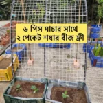 Big Macha combo  Package <br> বড মাচা কম্ব পেকেজ